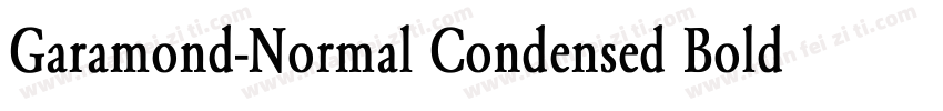 Garamond-Normal Condensed Bold Italic字体转换